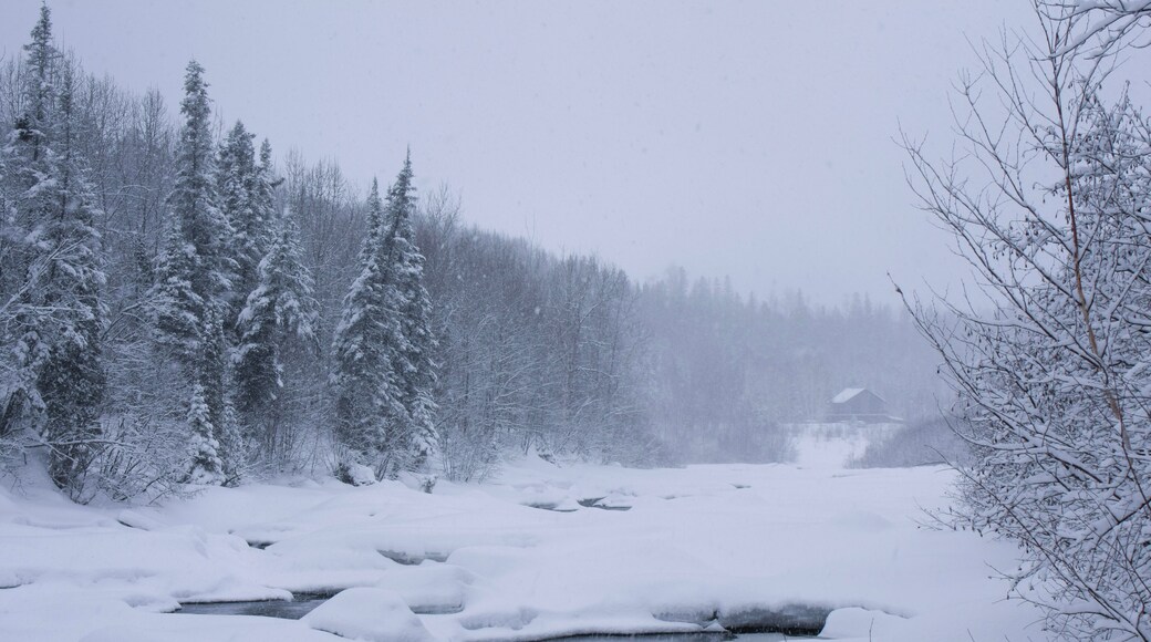 Tempête de neige au Saguenay, Québec, Canada