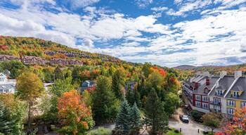 サン ジョビット