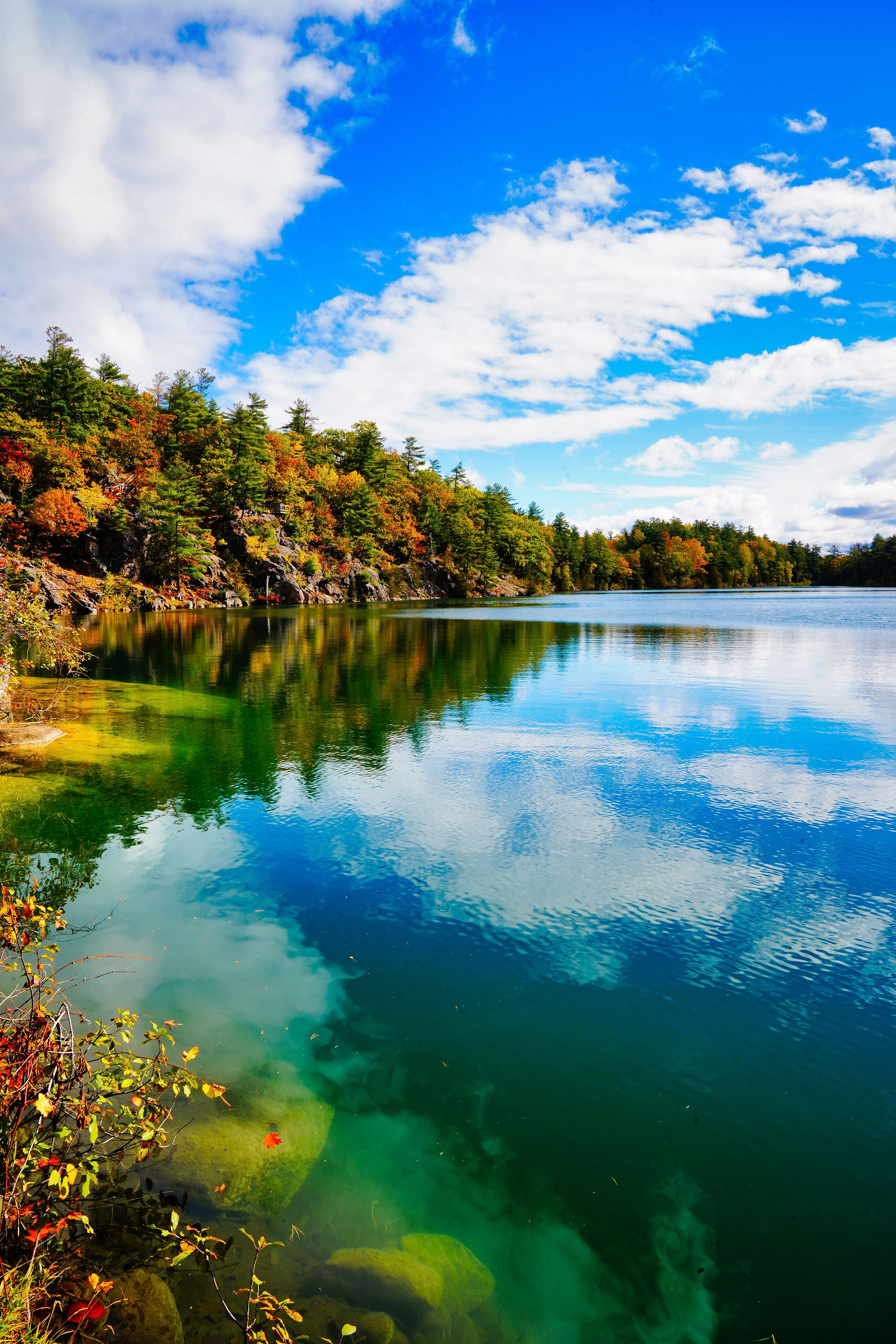 A clear lake surrounded by autumn-colored trees and a bright blue sky.