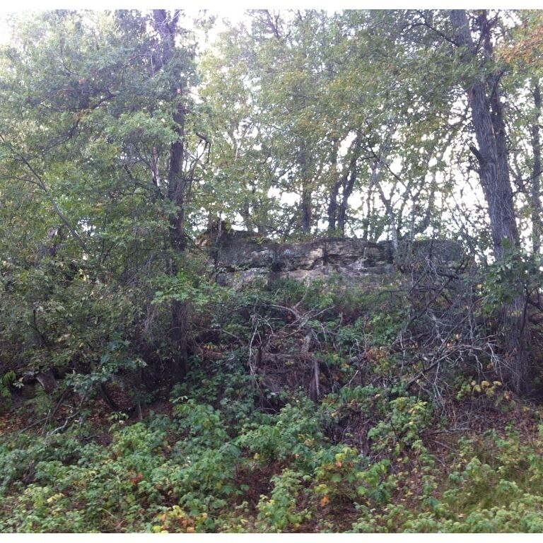 Lone Rock, a 30 foot tall cliff, in Empire Township, Minnesota.  Explorer Zebulon Pike was here in the early 1800s.
