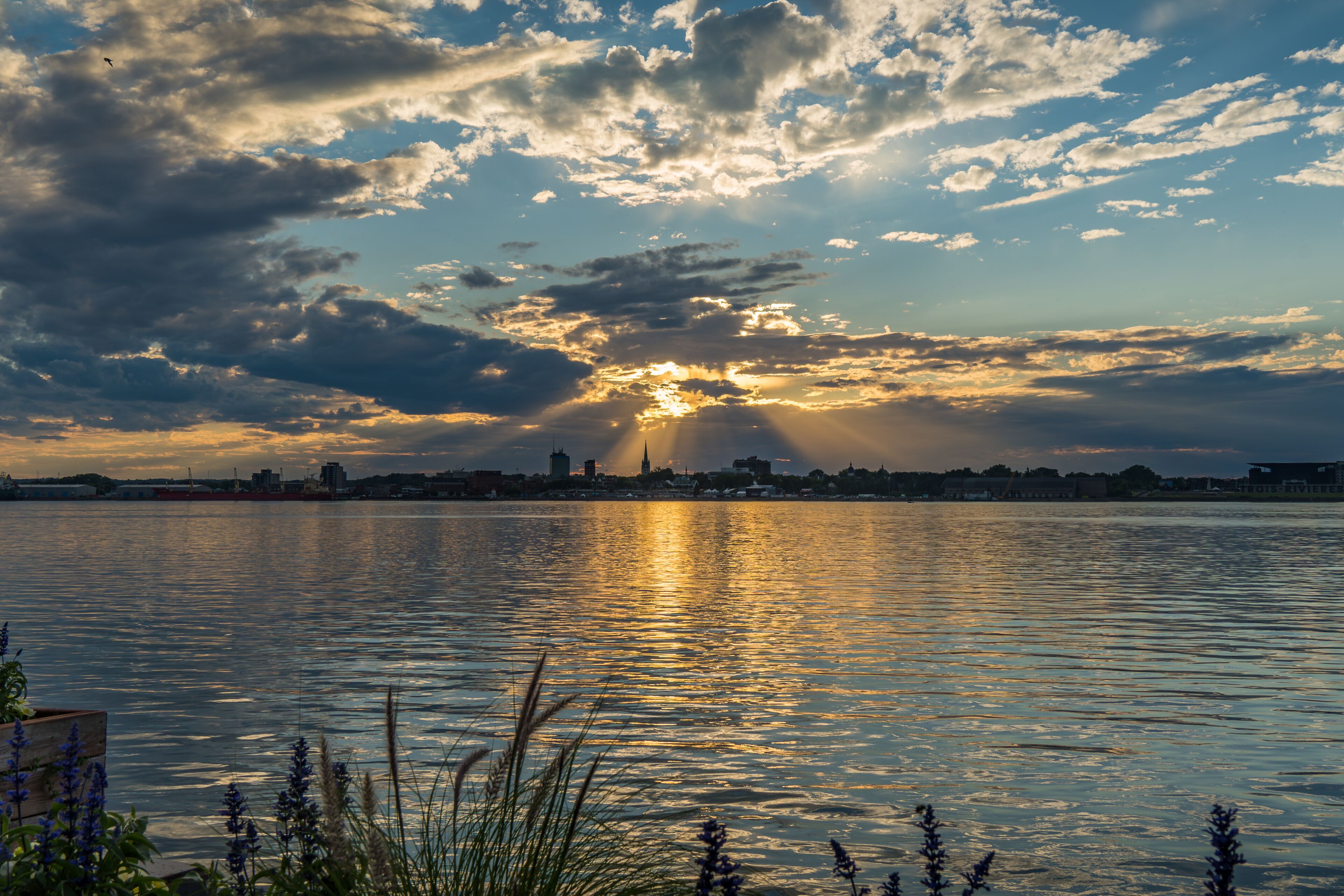 A sunset over a body of water with clouds reflecting the sun's rays, a distant city skyline, and some vegetation in the foreground.