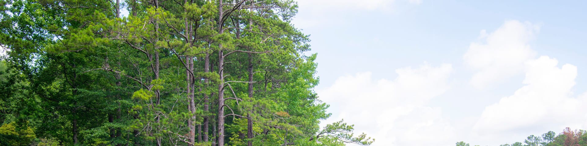 Carrollton Georgia, a city of dream, tanner lake