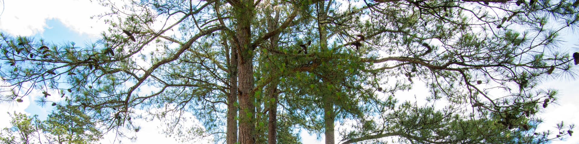 Carrollton Georgia, a city of dream, Carrollton Georgia lake