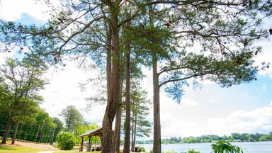 Carrollton Georgia, a city of dream, Carrollton Georgia lake