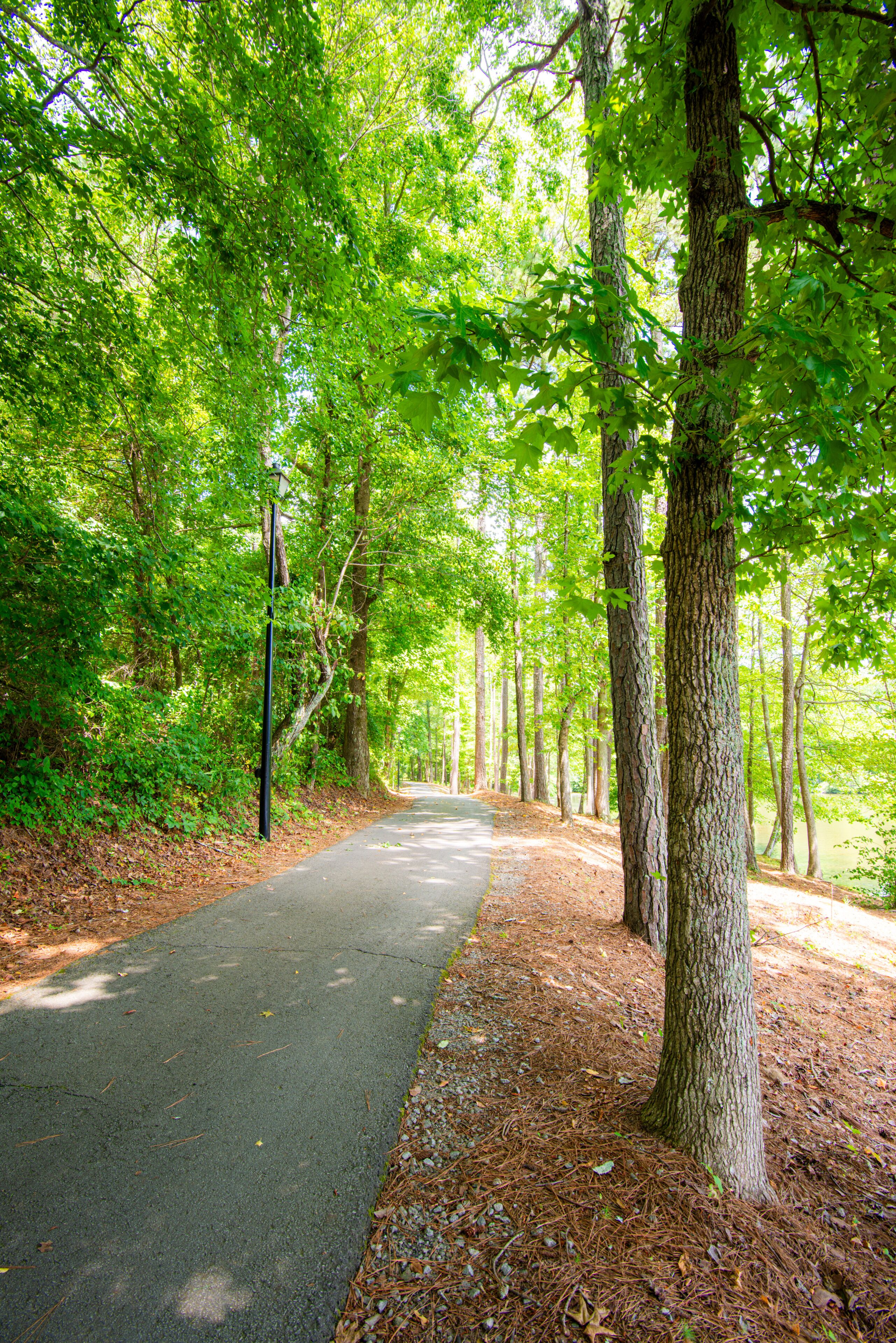 Carrollton Georgia, a city of dream, tanner lake