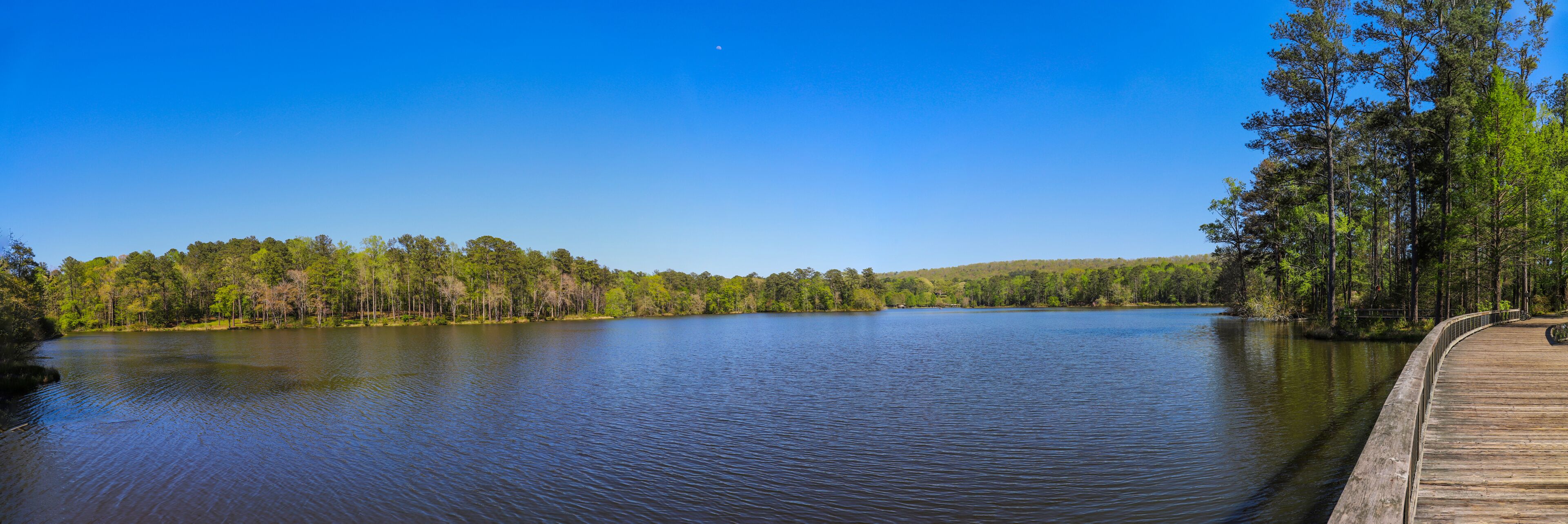 a gorgeous summer landscape in the garden with a vast blue lake and brown wooden bridge surrounded by lush green trees, grass and plants with blue sky at Callaway Gardens in Pine Mountain Georgia USA