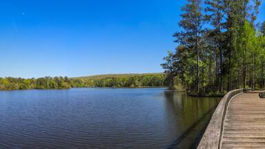 a gorgeous summer landscape in the garden with a vast blue lake and brown wooden bridge surrounded by lush green trees, grass and plants with blue sky at Callaway Gardens in Pine Mountain Georgia USA