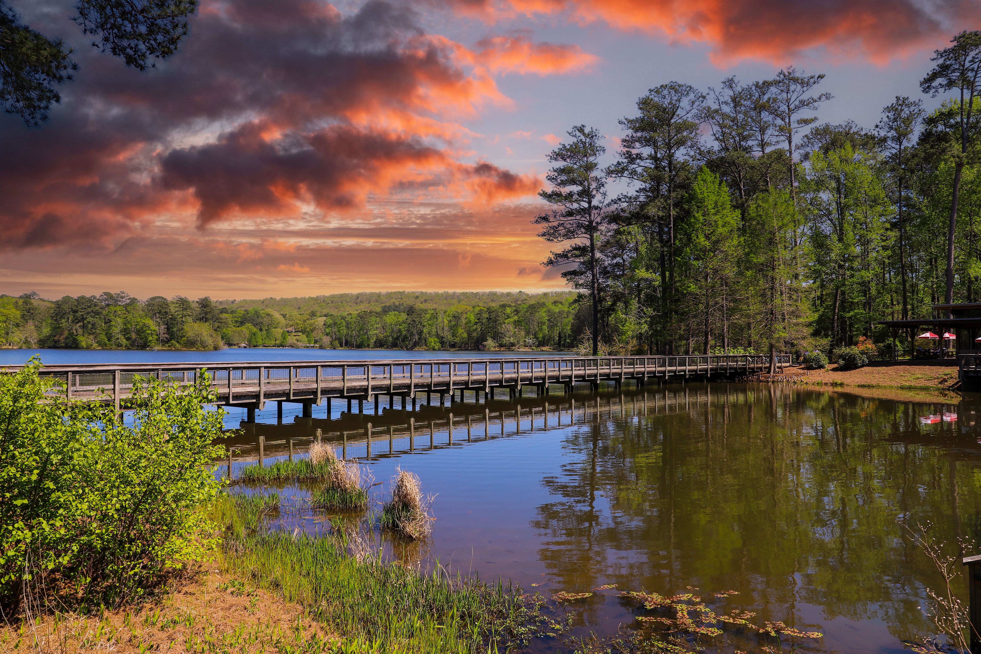 A stunning summer landscape in the garden with a still blue lake and a brown wooden bridge surrounded by lush green trees and plants with powerful clouds at sunset at Callaway Gardens in Pine Mountain