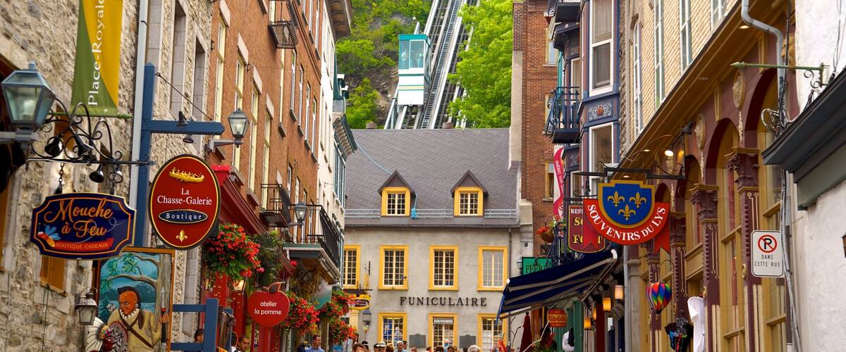 魁北克市的舊區 呈现出 看板, 城市 和 街道景色