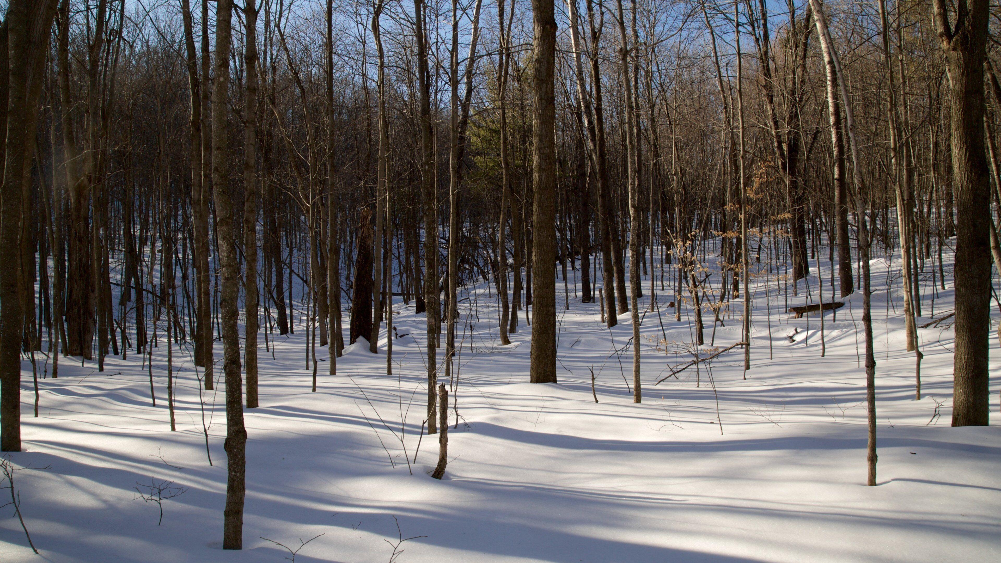 Outaouais showing tranquil scenes and snow
