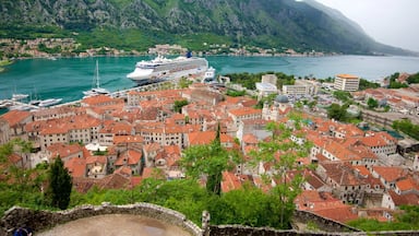 Kotor