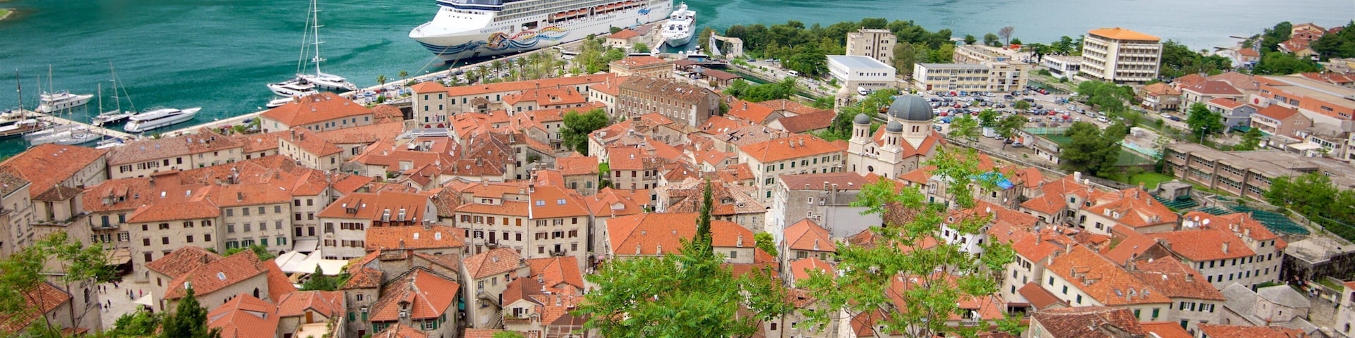 A coastal town with red-roofed buildings, a cruise ship docked at the harbor, and mountains in the background.