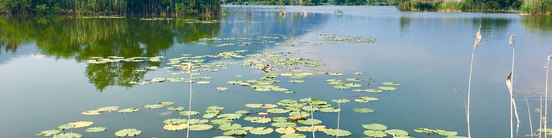 #spring #nature #water #landscape #italy #peace