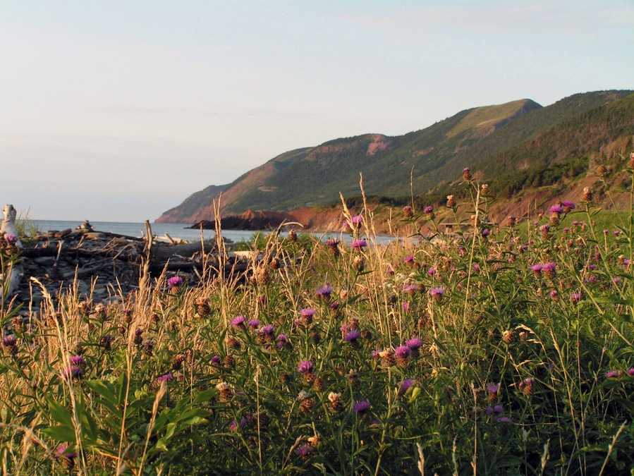 Wonderful beach just north of Cheticamp and south of the highlands on Cape Breton Island. Great place at the end of North America.