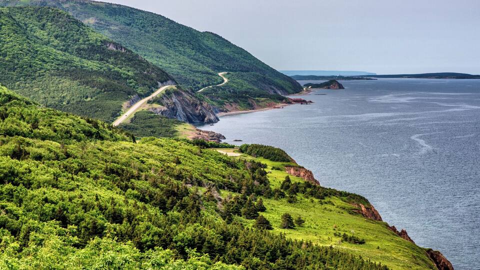 A coastal landscape with a winding road, dense green forest, and a large body of water.