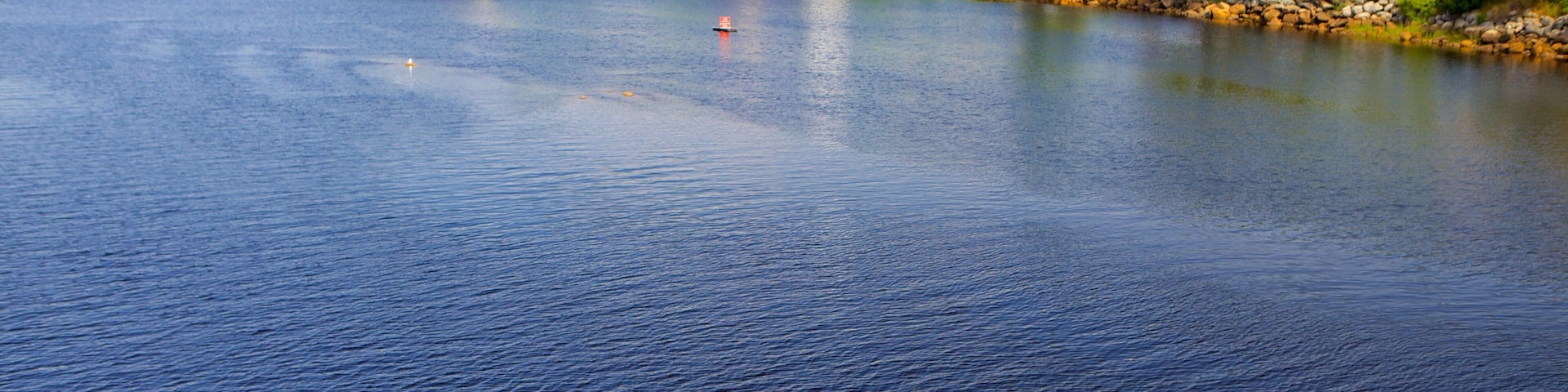 Bridgewater ofreciendo kayaks o canoas y un lago o espejo de agua y también un hombre