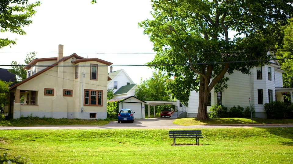 A residential street with houses, a blue car, and a bench.