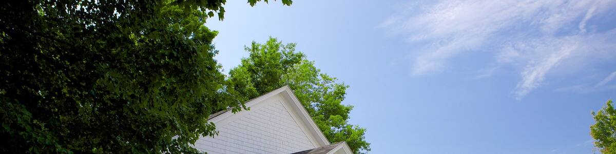 Kingston showing a park