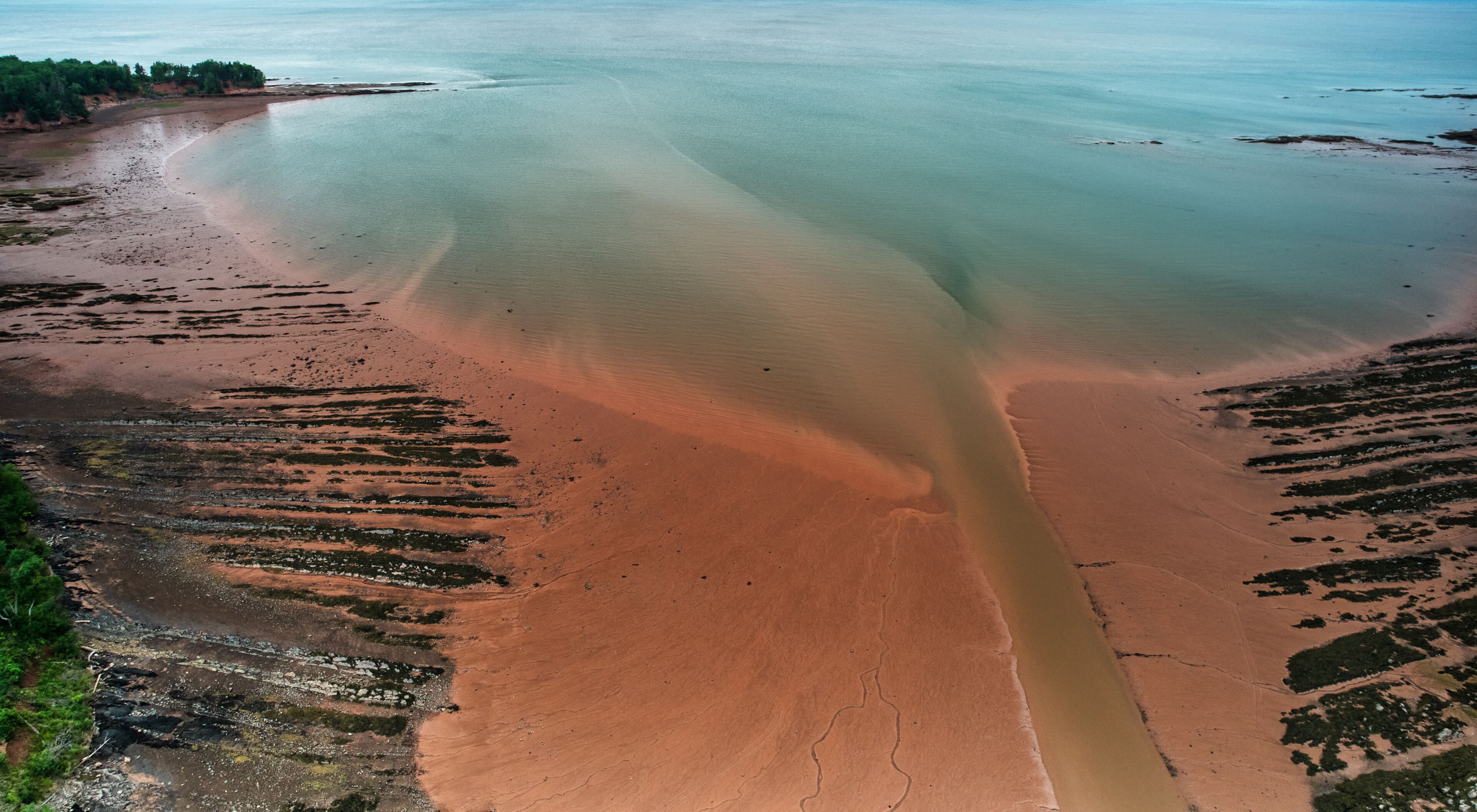A coastal landscape with a sandy beach, a calm sea, and a forested area.