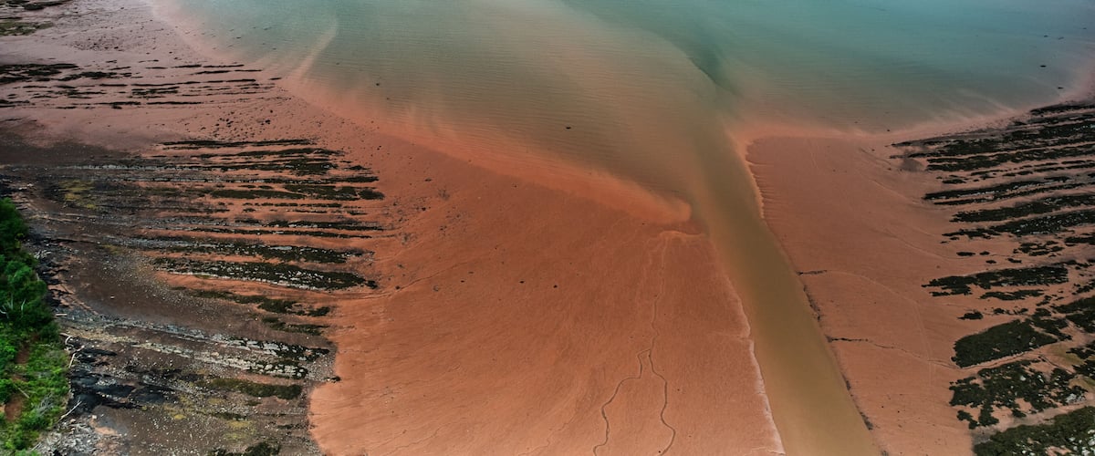 A coastal landscape with a sandy beach, a calm sea, and a forested area.