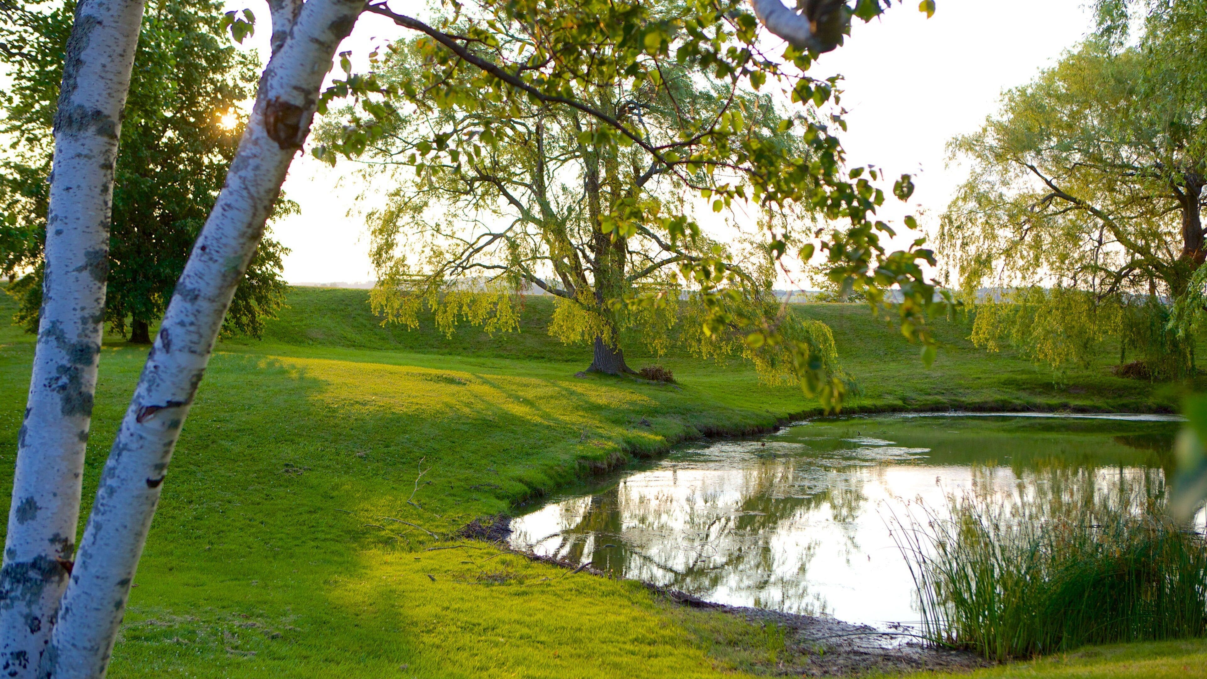 Wolfville que incluye un estanque y un jardín