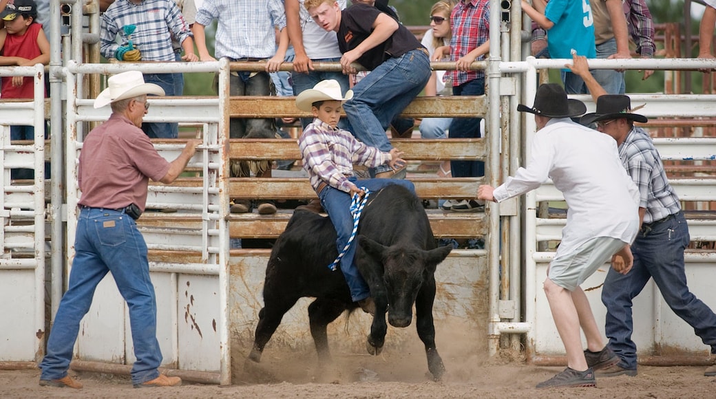因琵里奥 设有 運動賽事 以及 小群人
