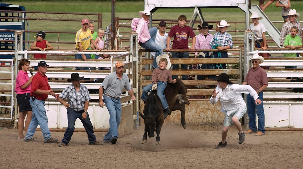 Western Nebraska showing a sporting event as well as a large group of people