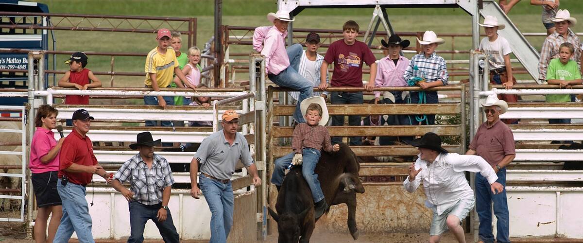 A rodeo event with a bull and riders in a dirt arena.