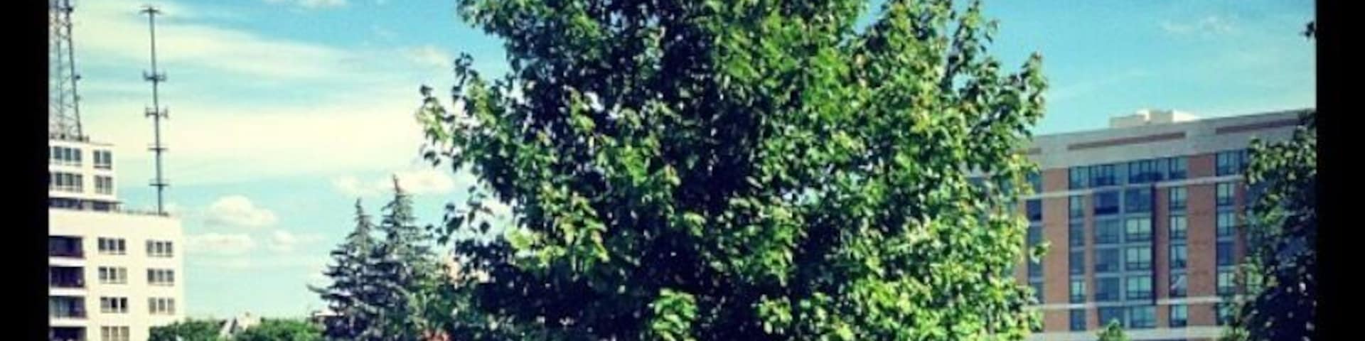 Savasana. Yoga rocks the park.