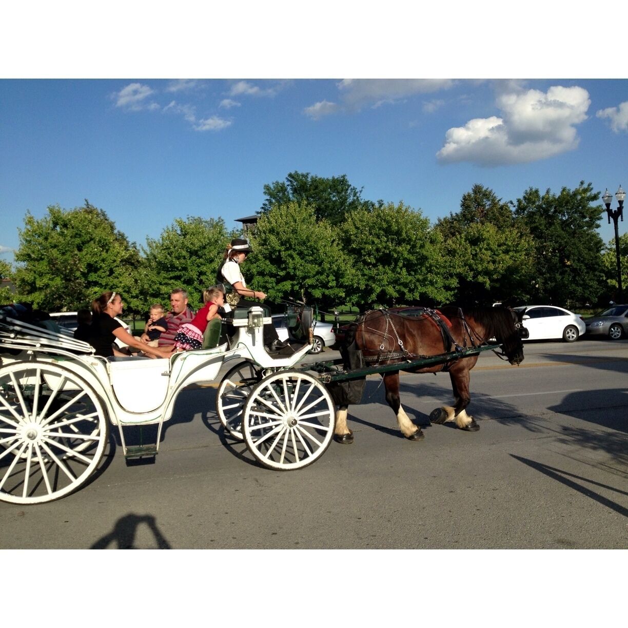 Take a ride on a variety of horse drawn carriages in Omaha's Old Market District.