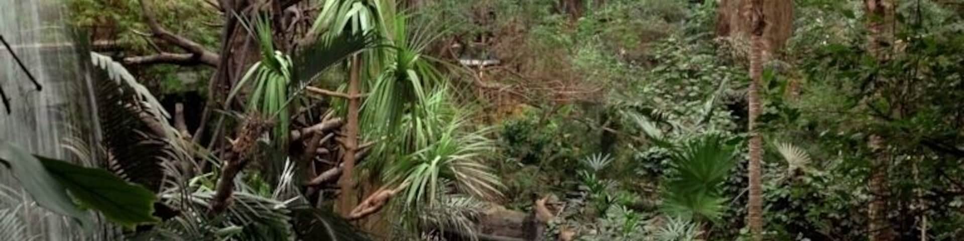 Une serre dotée d’un élément décoratif aquatique, d’une végétation tropicale luxuriante et d’un toit en verre.