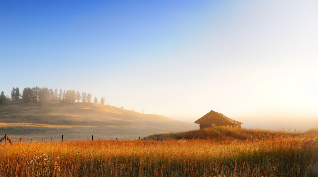 Barn at dawn - 100 Mile House, Canada