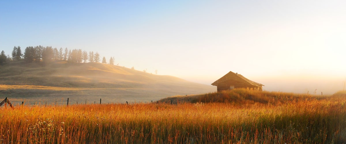 A rural landscape with a wooden cabin on a hill, surrounded by tall grass and trees under a clear sky.