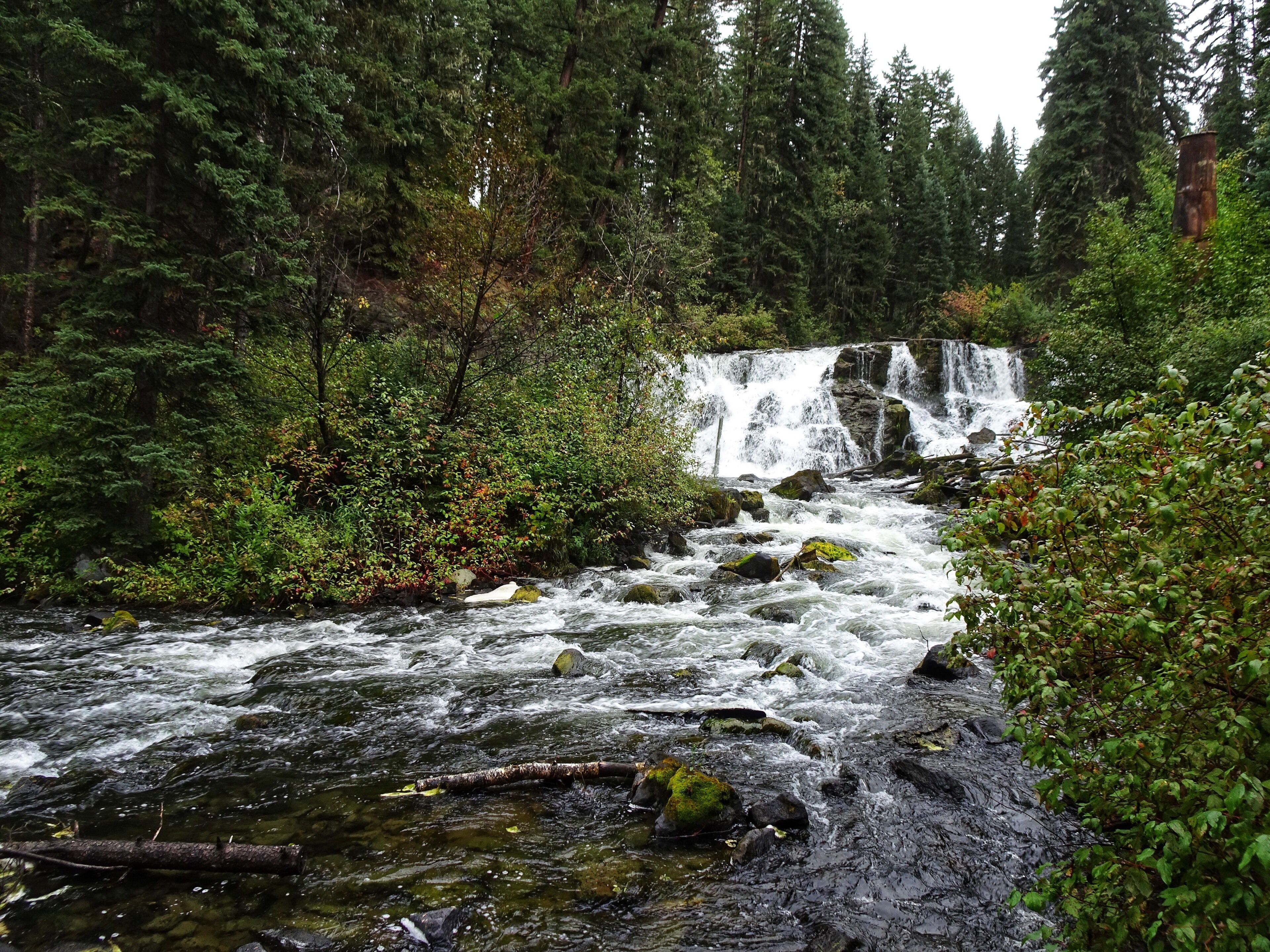 The Bridge Creek Falls was a short walk from the parking lot in Centennial Park. (September 2019)
#Trovember