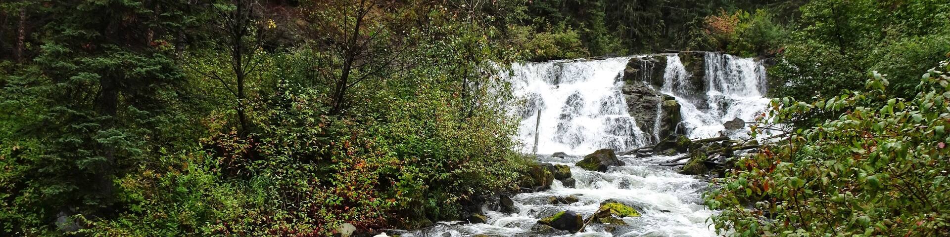 Une rivière qui traverse une forêt, avec une cascade en arrière-plan.