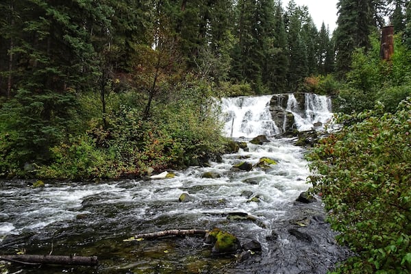The Bridge Creek Falls was a short walk from the parking lot in Centennial Park. (September 2019)
#Trovember