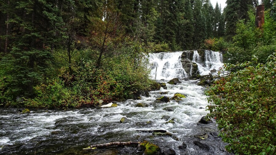 The Bridge Creek Falls was a short walk from the parking lot in Centennial Park.
