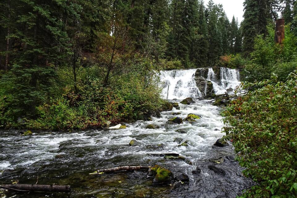 A river flowing through a forest with a waterfall in the background.