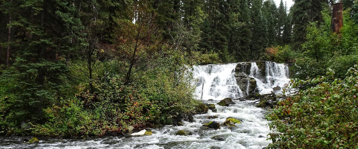 A river flowing through a forest with a waterfall in the background.