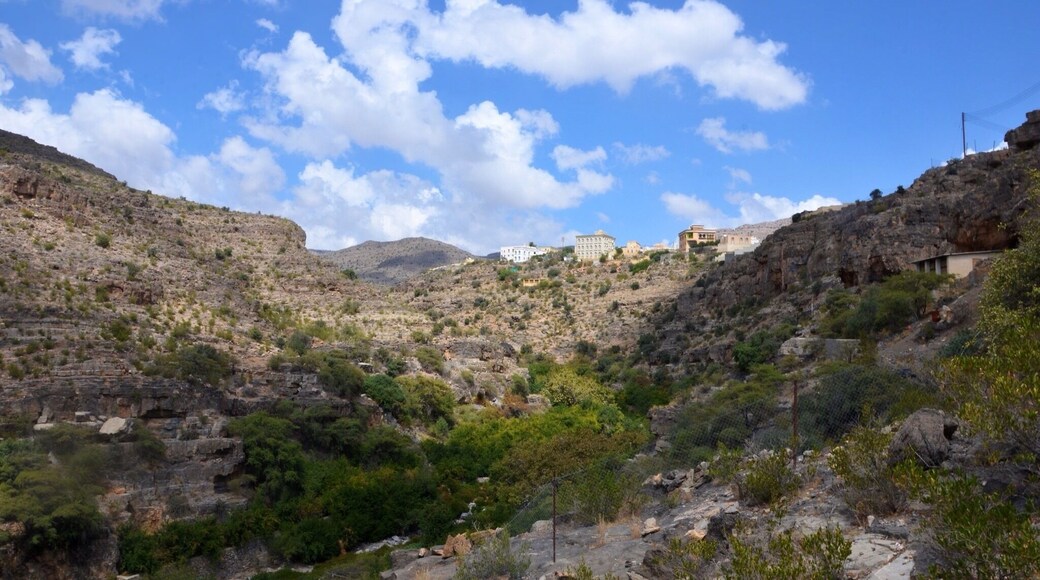 Nature in a strange harmony in the Oman mountains