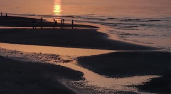 This was basically the #nightlife in #Muscat, #Oman 🇴🇲. The road along Shatti al Qurum Beach would be packed most nights with cars just cruising up and down, blasting out music. To be fair, it’s a nice #beach.
#LifeAtExpedia