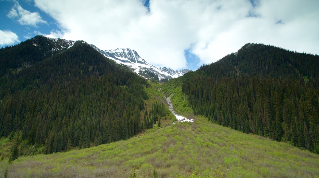Kootenay Rockies which includes tranquil scenes, mountains and landscape views