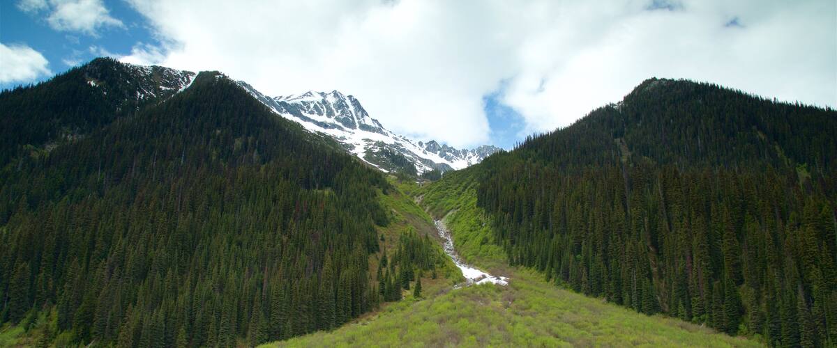 Kootenay Rockies which includes tranquil scenes, mountains and landscape views