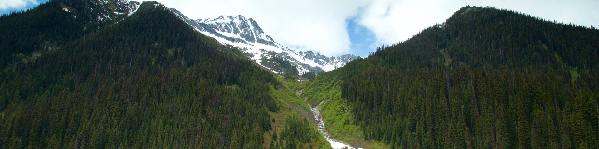A valley with a river, surrounded by dense forests and snow-capped mountains.