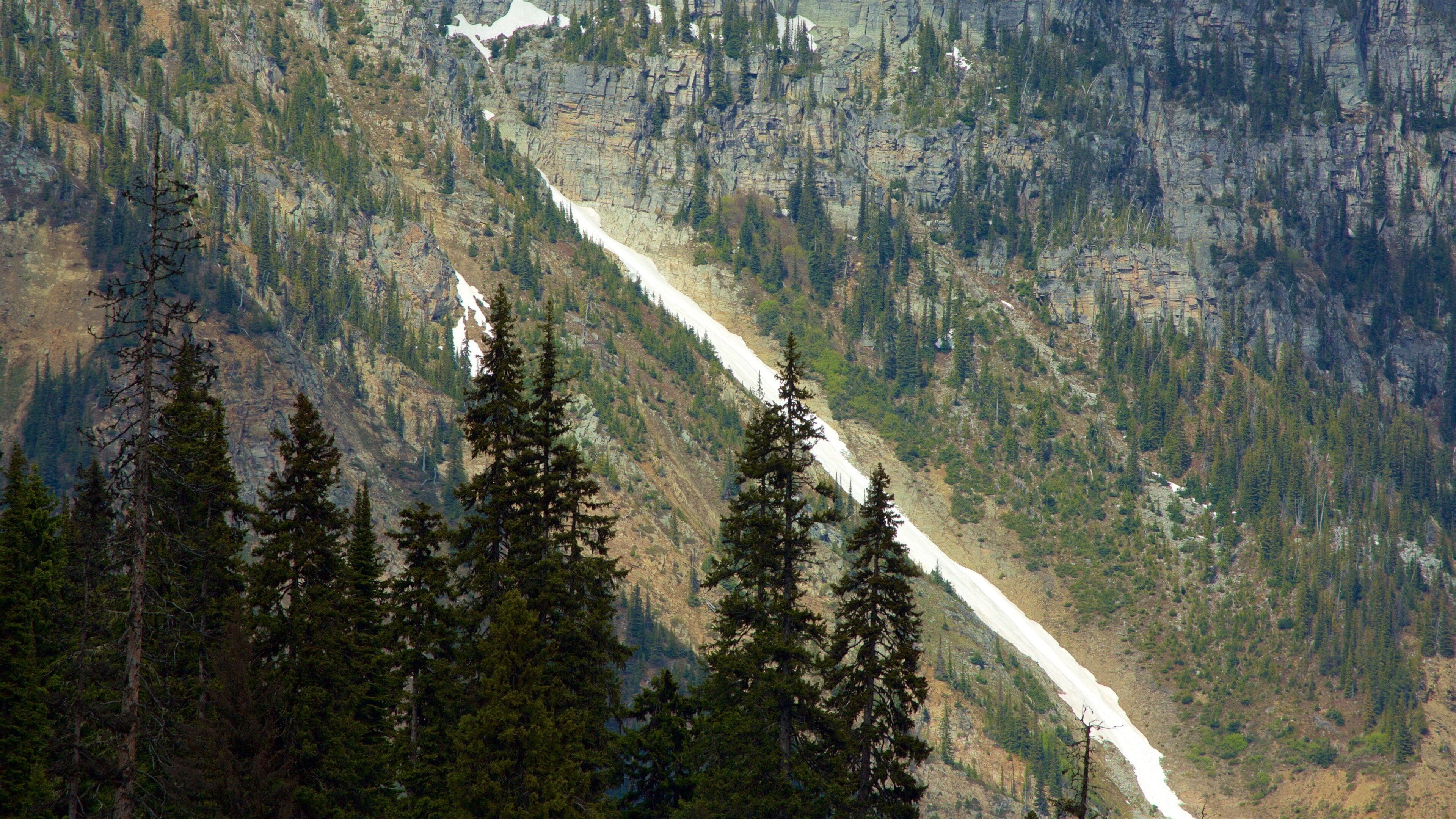 Kootenay Rockies featuring mountains and a river or creek