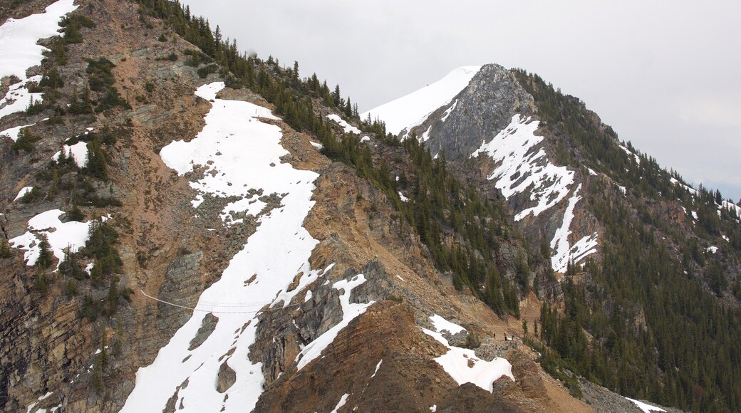 Kootenay Rockies showing mountains and snow