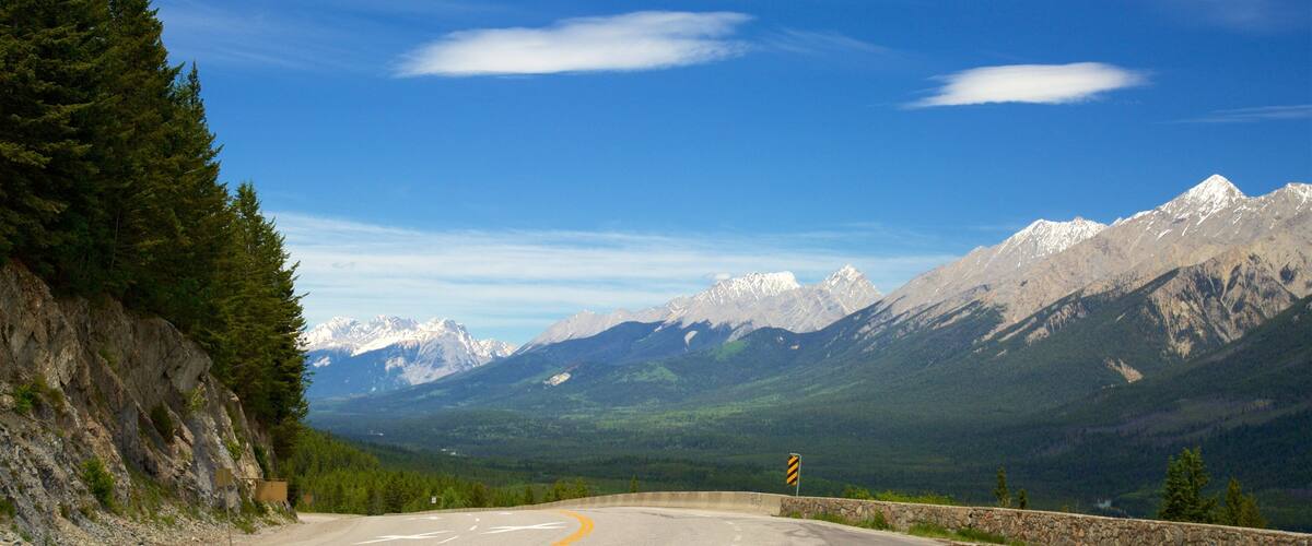 Kootenay Rockies showing tranquil scenes and mountains