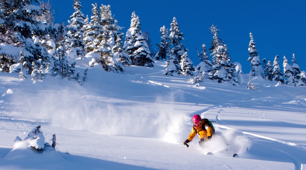 Kicking Horse Mountain Resort featuring snow