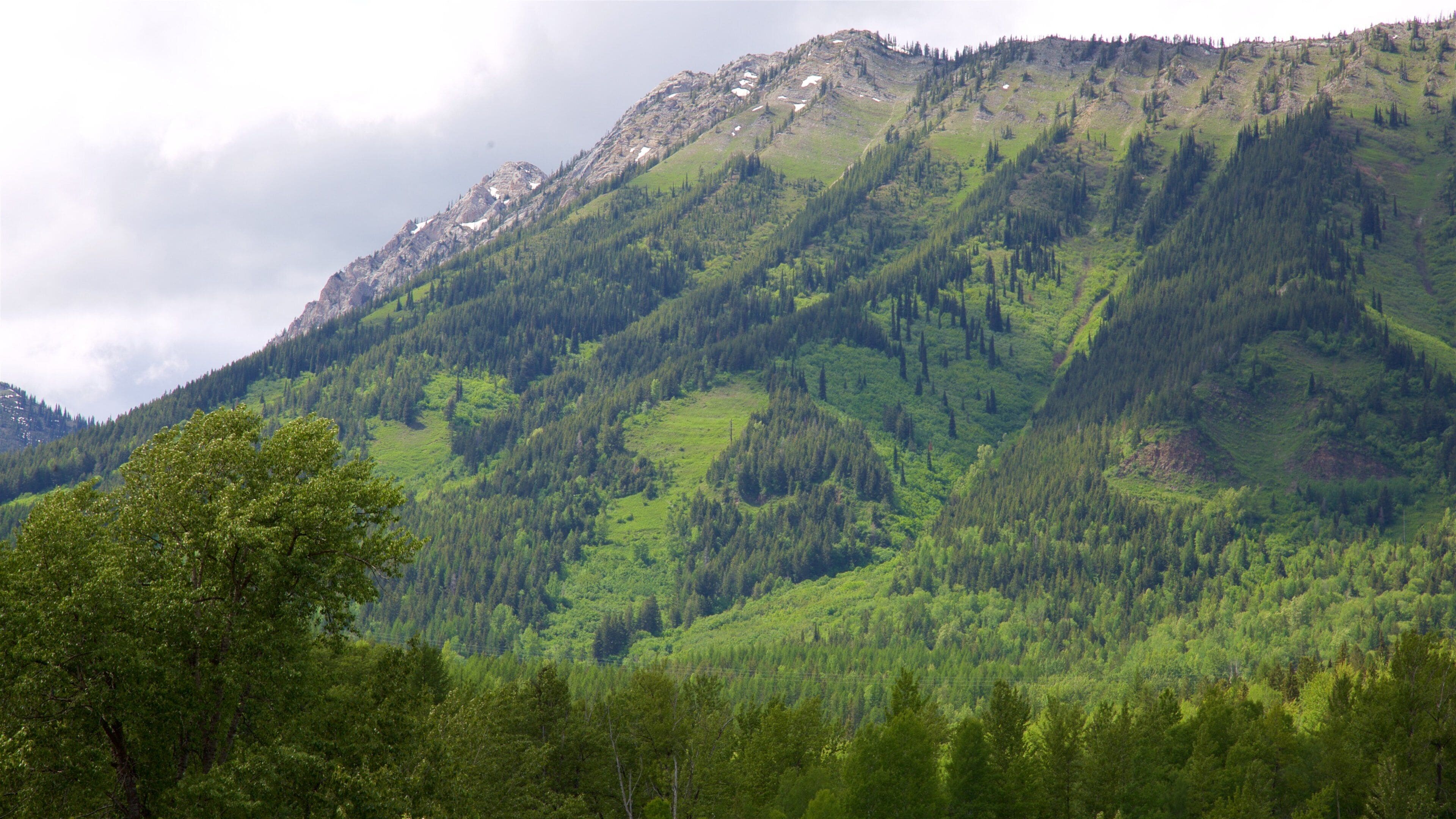 A mountain landscape with dense forests and rocky peaks.