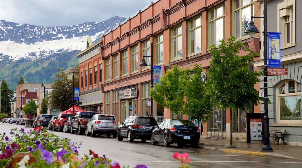 ファーニー 表示 雪, 花 と 山々
